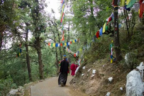 Tibetan monks in the forest on the path Foto stock