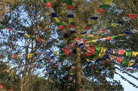 Tibetan Prayer flags attached to a tree blowing in the wind Foto stock