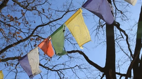 Tibetan prayer flags blowing in the wind Stock Footage 87197363