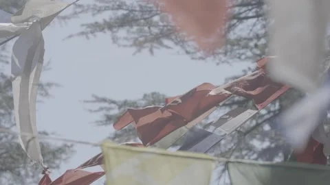Tibetan Prayer Flags Fluttering in Mountain Wind Against Pine Trees Stock Footage 345632336