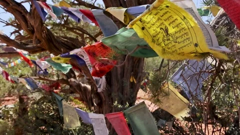 Tibetan Prayer Flags Hanging From Juniper Tree Sedona Arizona Stock Footage 336383948
