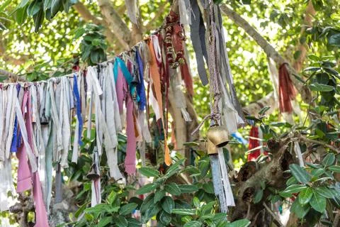 Tibetan prayer flags Stock Photos