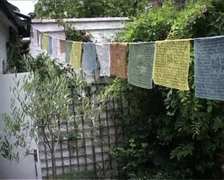 Tibetan prayer flags pull focus Vídeo Stock 10879781