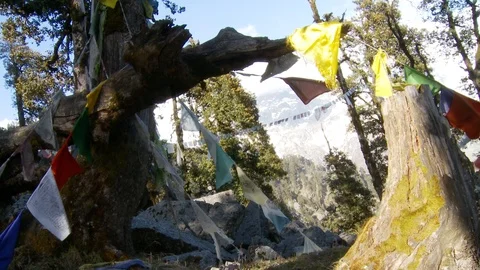 Tibetan prayer flags, on tree, against blue sky, Himalayas background Stock Footage 126993720