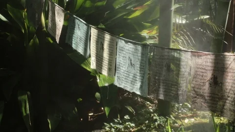 Tibetan prayers in the woods Stock Footage 107037718