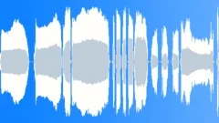 Tibetan Shell Flute Sound Effect