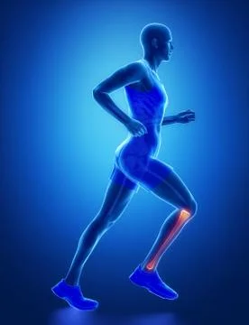 TIBIA - running man leg scan in blue Stock Illustration