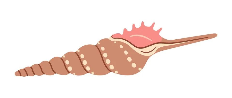 Tibia Seashell Hand drawn. Cartoon style flat illustration seashell isolated on Stock Illustration