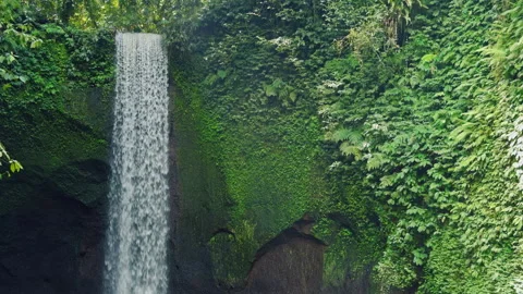 Tibumana Waterfall Flowing Down Moss Covered Cliff Wall, Vibrant Tropical Plants Stock Footage 337033381