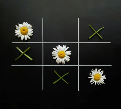 Tic tac toe on a black background made of chamomile flowers and flower twigs. Stock Photos
