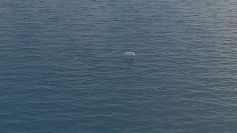 Tic Tac top View Stock Footage 141367941