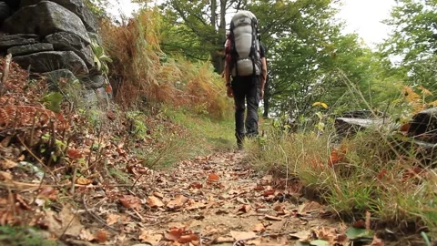 Ticino hike Stock Footage 133868341