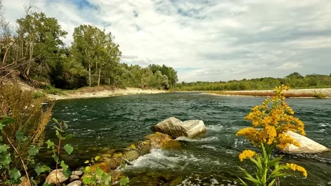 Ticino river in the park Stock Footage 239275626