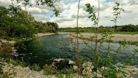 Ticino river in the woods Stock Footage 239276004