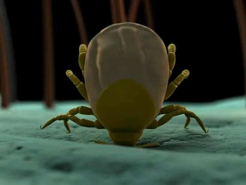 Tick, artwork 스톡 일러스트