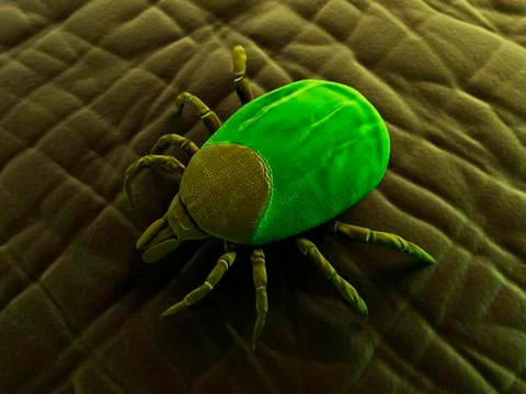 Tick, artwork Illustrazione stock