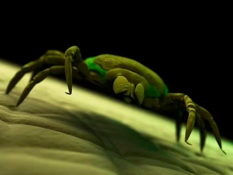 Tick, artwork Stockillustratie