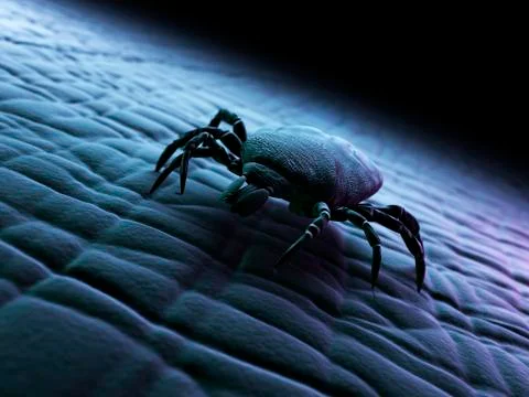 Tick, artwork Illustrazione stock