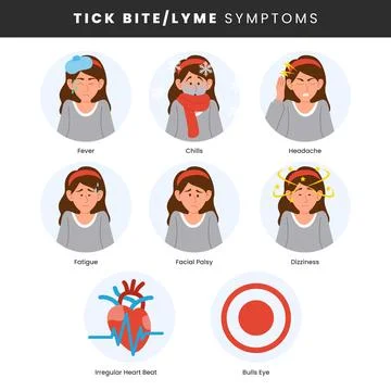 Tick Bite or Lyme Disease symptoms infographic medical poster design, label.. Stock Illustration