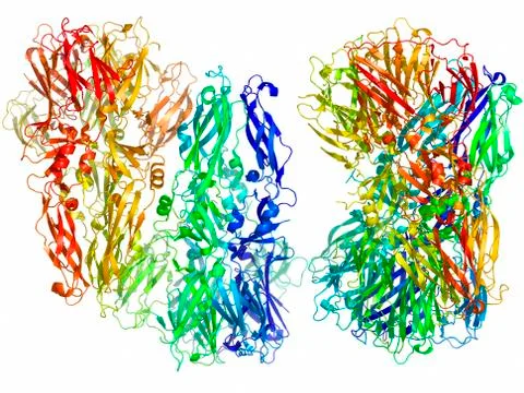 Tick-borne encephalitis virus protein Stock Illustration
