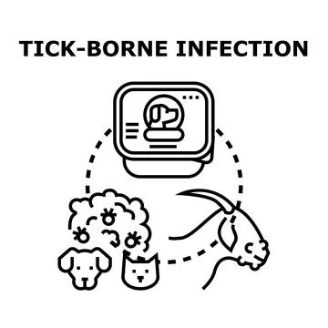 Tick borne infection concept for pets and livestock Stock Illustration