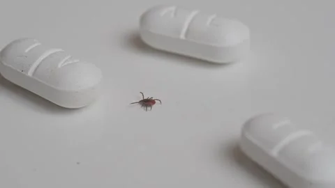 Tick crawling between antibiotic tablets symbolizing infection, disease and Stock Footage 319519958