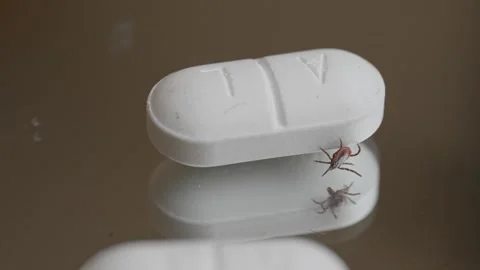 Tick crawling down from white pill on reflective surface related to infection 스톡 동영상 319804043