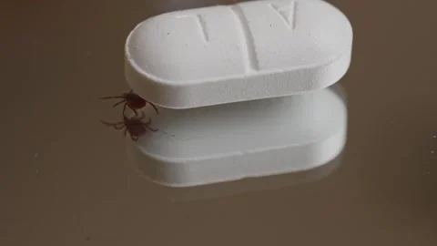 Tick crawling past white tablet on reflective surface symbolizing infection and 스톡 동영상 319749905