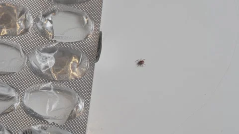 Tick crawling under blister pack symbolizing hidden infection and medical 스톡 동영상 319514730