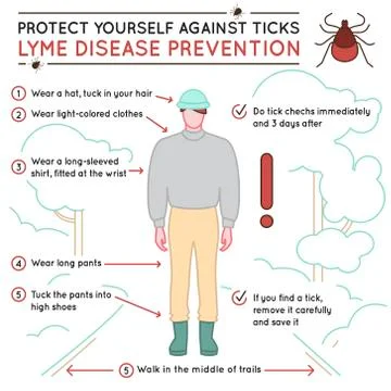 Tick disease poster Stock Illustration