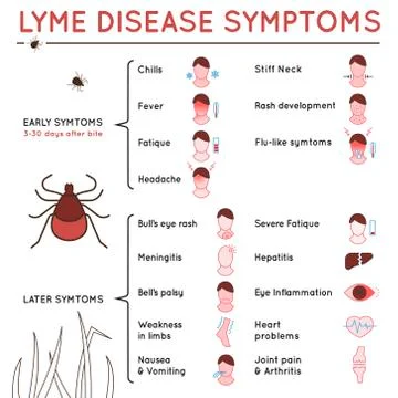 Tick disease poster Stock Illustration