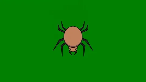 Tick green background spider brown green screen animated chromakey background Stock Footage 314067040