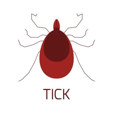 Tick insect icon Stock Illustration