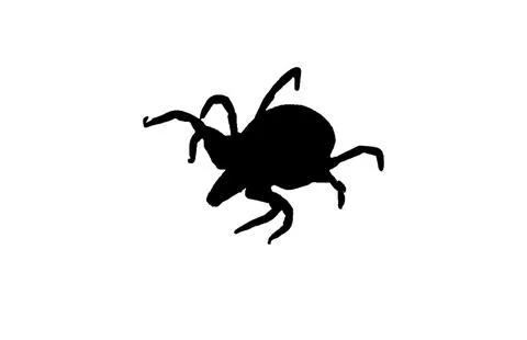 Tick isolated on white background Stock Illustration