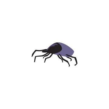 Tick or mite bug, flat vector illustration isolated on white background. Ilustración de archivo