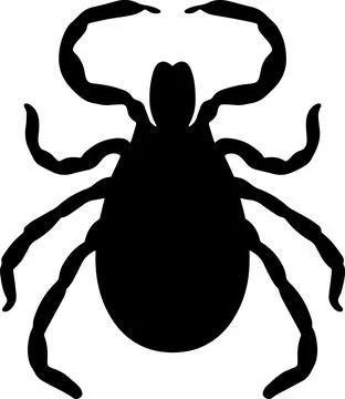 Tick parasite Illustration