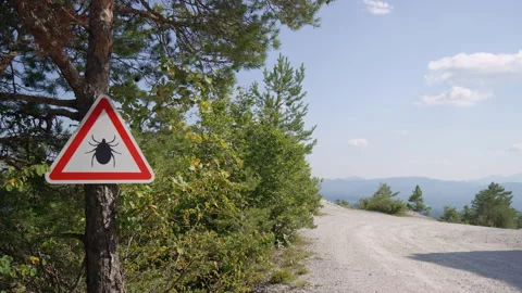 Tick parasite warning sign on the tree at a forest entry 動画素材 289676150