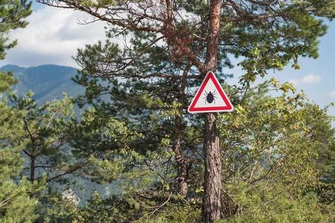 Tick parasite warning sign on the tree at a forest entry Stock Photos