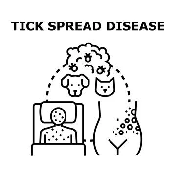 Tick spreading disease concept causing human skin rash Stock Illustration