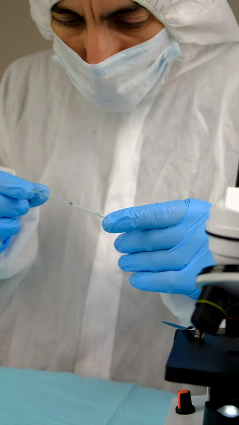 Tick in a test tube in the laboratory. Selective focus. Stock Footage 305753337