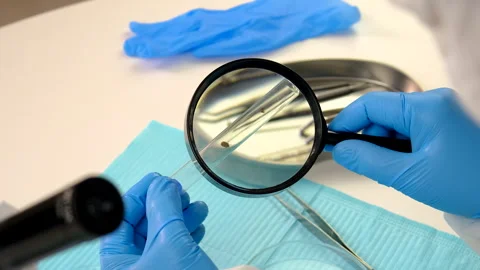Tick in a test tube in the laboratory. Selective focus. Stock Footage 305754205