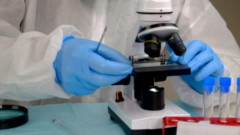 Tick in a test tube in the laboratory. Selective focus. Stock Footage 305755698