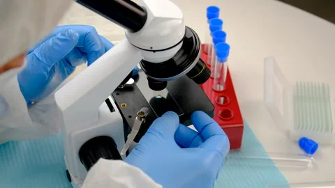 Tick in a test tube in the laboratory. Selective focus. Stock Footage 305756195