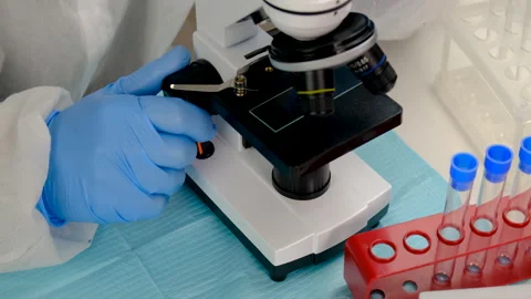 Tick in a test tube in the laboratory. Selective focus. Stock Footage 305898479