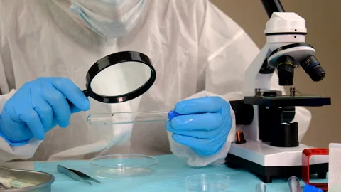 Tick in a test tube in the laboratory. Selective focus. Stock Footage 305900526