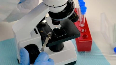 Tick in a test tube in the laboratory. Selective focus. Stock Footage 305900699