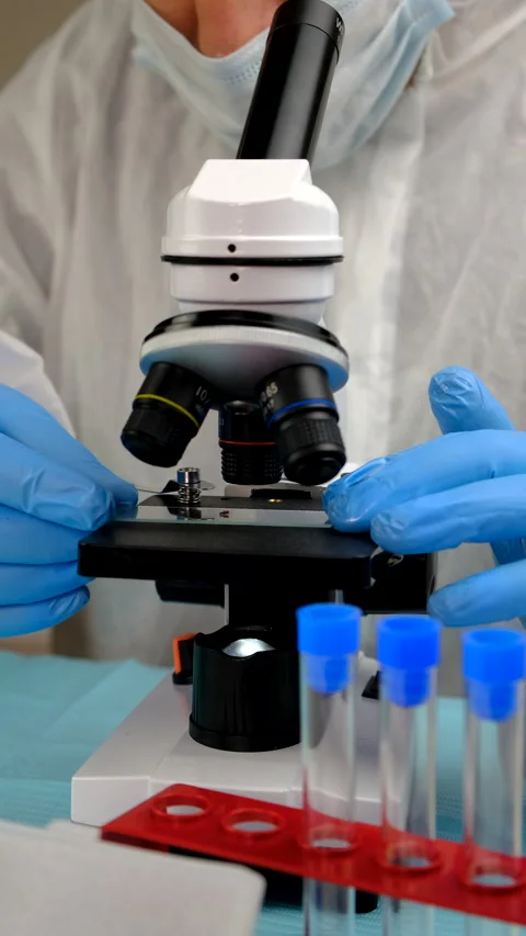 Tick in a test tube in the laboratory. Selective focus. Stock Footage 305922271