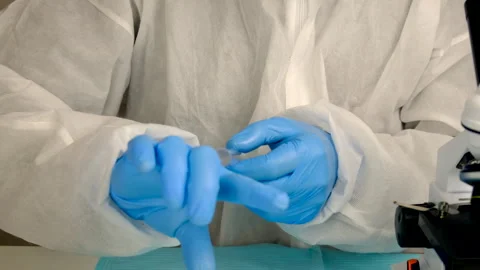 Tick in a test tube in the laboratory. Selective focus. Stock Footage 305924372
