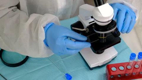 Tick in a test tube in the laboratory. Selective focus. Stock Footage 305925031