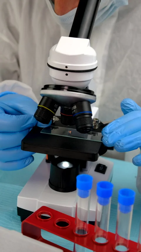 Tick in a test tube in the laboratory. Selective focus. Stock Footage 306411951
